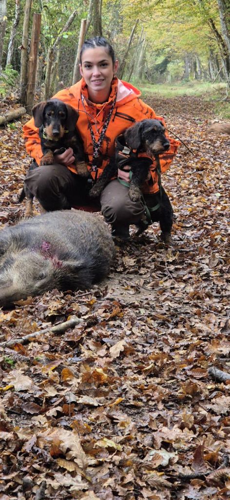 chasse